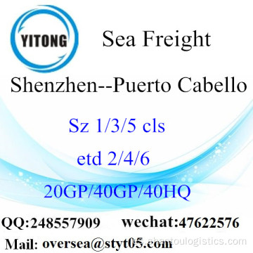 Shenzhen Puerto Marítimo Envío a Puerto Cabello